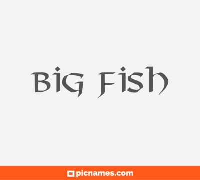 Big Fish